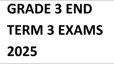 GRADE 3 END TERM 3 EXAMS 2025