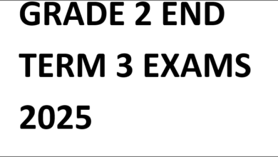 GRADE 2 END TERM 3 EXAMS 2025