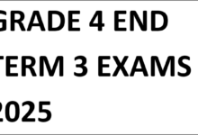 GRADE 4 END TERM 3 EXAMS 2025