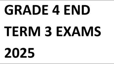GRADE 4 END TERM 3 EXAMS 2025