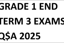 GRADE 1 END TERM 3 EXAMS Q$A 2025