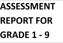 ASSESSMENT REPORT FOR GRADE 1 - 9