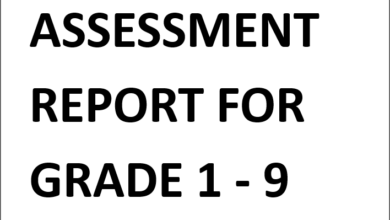 ASSESSMENT REPORT FOR GRADE 1 - 9