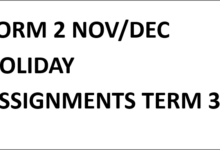 FORM 2 NOV/DEC HOLIDAY ASSIGNMENTS TERM 3
