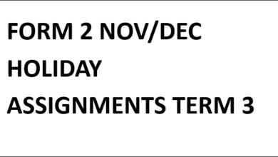 FORM 2 NOV/DEC HOLIDAY ASSIGNMENTS TERM 3