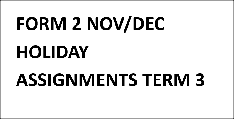FORM 2 NOV/DEC HOLIDAY ASSIGNMENTS TERM 3