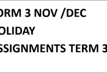 FORM 3 NOV /DEC HOLIDAY ASSIGNMENTS TERM 3