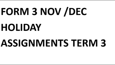 FORM 3 NOV /DEC HOLIDAY ASSIGNMENTS TERM 3