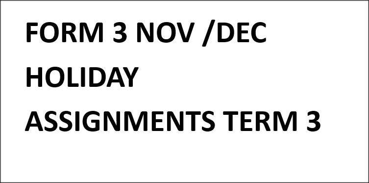 FORM 3 NOV /DEC HOLIDAY ASSIGNMENTS TERM 3