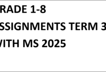 GRADE 1-8 ASSIGNMENTS TERM 3 WITH MS 2025