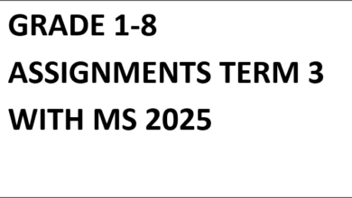 GRADE 1-8 ASSIGNMENTS TERM 3 WITH MS 2025