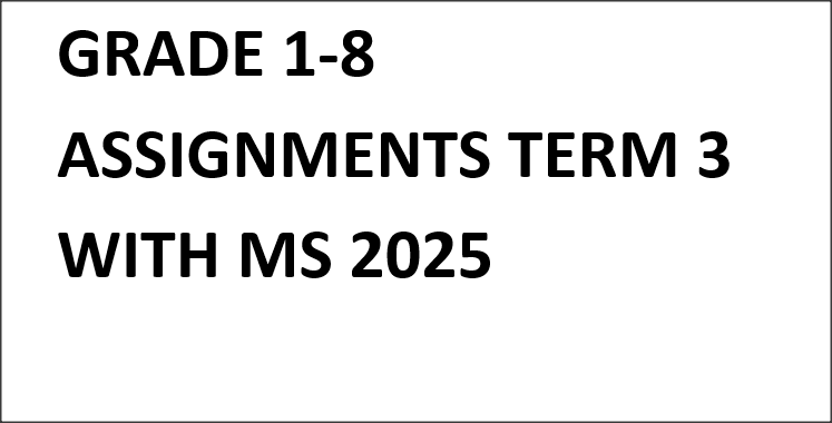 GRADE 1-8 ASSIGNMENTS TERM 3 WITH MS 2025