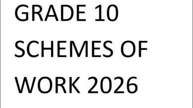 GRADE 10 SCHEMES OF WORK 2026