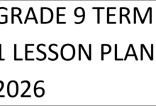 GRADE 9 TERM 1 LESSON PLAN 2026