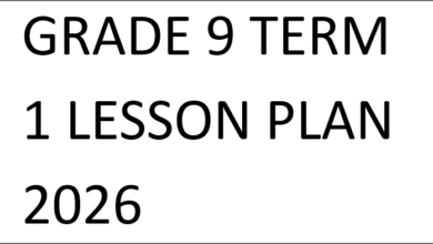 GRADE 9 TERM 1 LESSON PLAN 2026