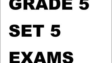 GRADE 5 SET 5 EXAMS 2026