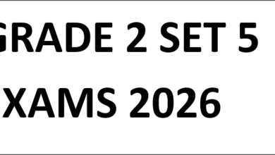 GRADE 2 SET 5 EXAMS 2026