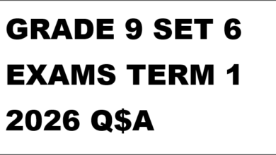 GRADE 9 SET 6 EXAMS TERM 1 2026