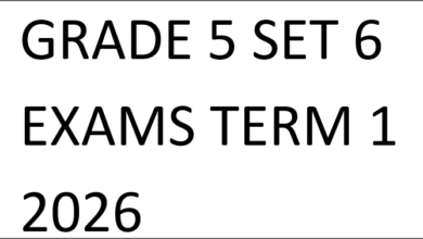 GRADE 5 SET 6 EXAMS TERM 1 2026