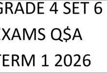 GRADE 4 SET 6 EXAMS Q$A TERM 1 2026