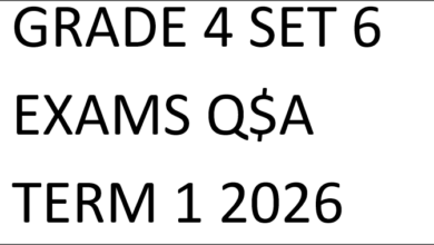 GRADE 4 SET 6 EXAMS Q$A TERM 1 2026