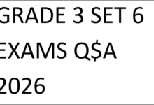 GRADE 3 SET 6 EXAMS Q$A 2026