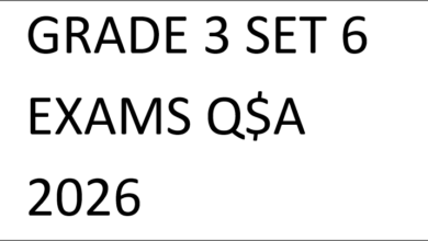 GRADE 3 SET 6 EXAMS Q$A 2026