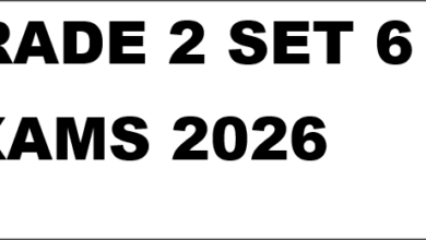 GRADE 2 SET 6 EXAMS 2026