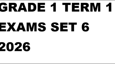 GRADE 1 TERM 1 EXAMS SET 6 2026