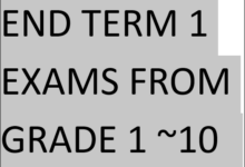 END TERM 1 EXAMS FROM GRADE 1 ~10