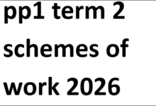 pp1 & pp2 term 2 schemes of work 2026