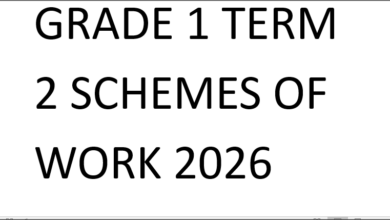 GRADE 1 TERM 2 SCHEMES OF WORK 2026