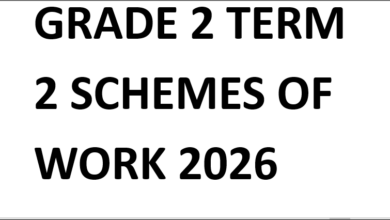 GRADE 2 TERM 2 SCHEMES OF WORK 2026