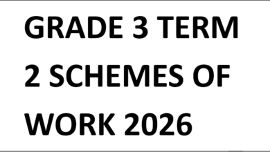 GRADE 3 TERM 2 SCHEMES OF WORK 2026