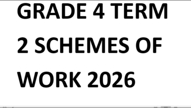 GRADE 4 TERM 2 SCHEMES OF WORK 2026