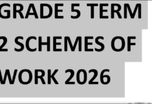 GRADE 5 TERM 2 SCHEMES OF WORK 2026