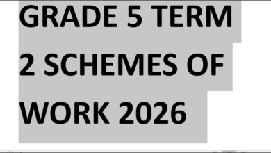 GRADE 5 TERM 2 SCHEMES OF WORK 2026