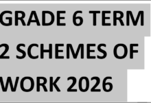 GRADE 6 TERM 2 SCHEMES OF WORK 2026