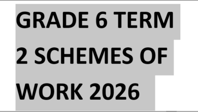 GRADE 6 TERM 2 SCHEMES OF WORK 2026