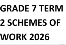 GRADE 7 TERM 2 SCHEMES OF WORK 2026