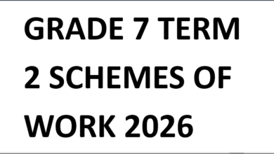 GRADE 7 TERM 2 SCHEMES OF WORK 2026