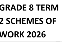 GRADE 8 TERM 2 SCHEMES OF WORK 2026