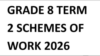 GRADE 8 TERM 2 SCHEMES OF WORK 2026