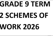 GRADE 9 TERM 2 SCHEMES OF WORK 2026