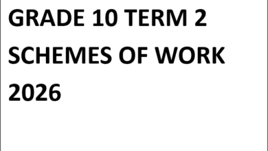 GRADE 10 TERM 2 SCHEMES OF WORK 2026