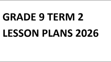 GRADE 9 TERM 2 LESSON PLANS 2026