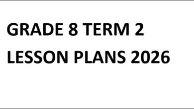 GRADE 8 TERM 2 LESSON PLANS 2026