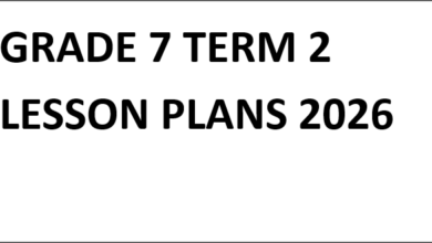 GRADE 7 TERM 2 LESSON PLANS 2026