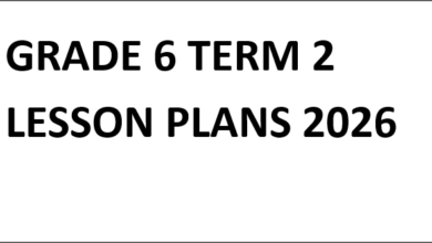 GRADE 6 TERM 2 LESSON PLANS 2026