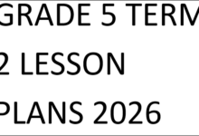 GRADE 5 TERM 2 LESSON PLANS 2026